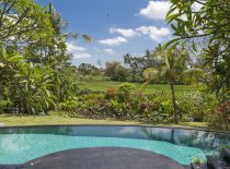 Villa East Indies, Pool